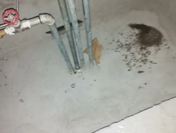 克拉玛依市卫生间测漏水价格明细