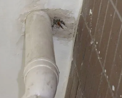 克拉玛依市漏水检测哪家好